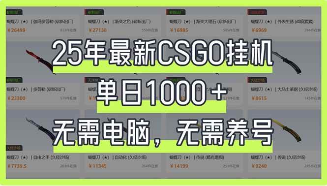 （14178期）25年最新CSGO挂机系统，单日1000+，无需电脑，无需养号，0基础可上手-致富学堂