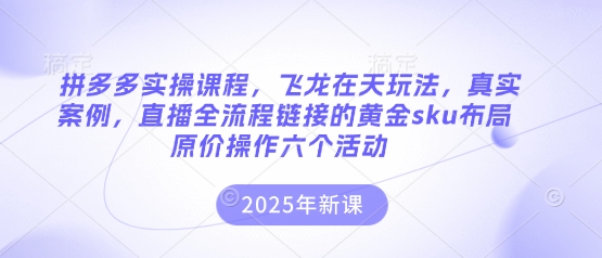 拼多多实操课程，飞龙在天玩法，真实案例，直播全流程链接的黄金sku布局原价操作六个活动-致富学堂