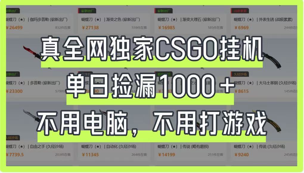 真全网独家CSGO挂机，单日捡漏1000+，不用电脑，不用养号-致富学堂