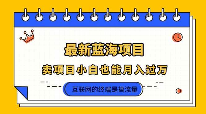 （14289期）2025年最新蓝海项目，卖项目小白也能月入过万-致富学堂