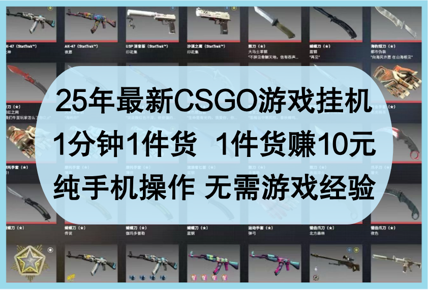 25年最新CSGO游戏挂机，1分钟1件货，1件货赚10元，纯手机操作，无需游戏经验-致富学堂