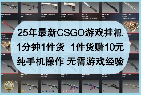 25年最新CSGO游戏挂G，1分钟1件货，1件货挣10元，纯手机操作，无需游戏经验【揭秘】-致富学堂