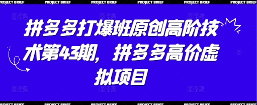 拼多多打爆班原创高阶技术第43期，拼多多高价虚拟项目-致富学堂