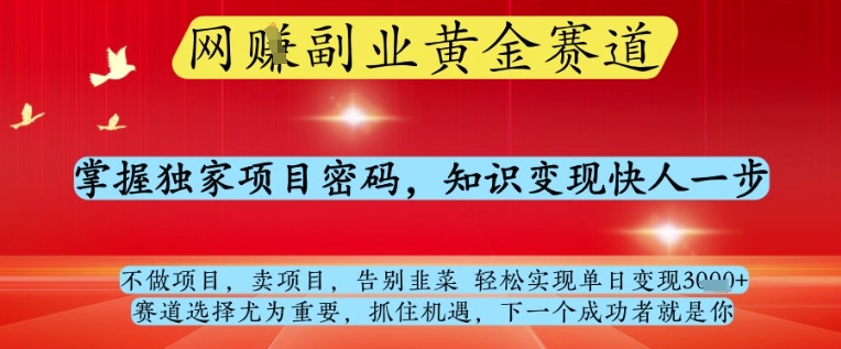 网创副业黄全赛道，掌握独家项目密码，知识变现快人一步，告别韭菜轻松实现单日变现1k+【揭秘】-钰霖恒创