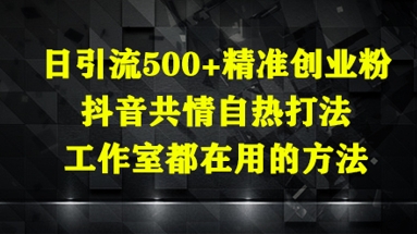 日引流500+精准创业粉，抖音共情自热打法，工作室都在用的方法-致富学堂