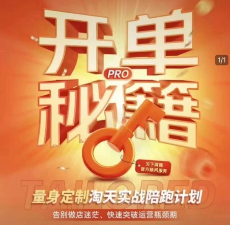 淘宝开单秘籍PRO，量身定制淘天实战陪跑计划，告别做店迷茫、快速突破运营瓶颈期（更新）-致富学堂