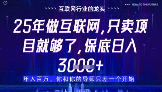 什么！25年你还在找项目做？风口早就变了，卖项目才是稳挣不赔【揭秘】-致富学堂