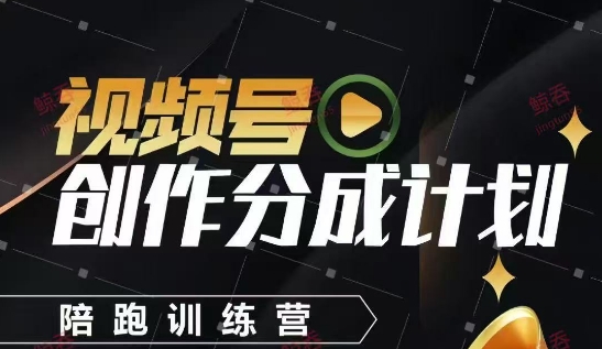 视频号创作分成计划陪跑训练营，手把手教会你如何制作视频，细水长流型项目-致富学堂