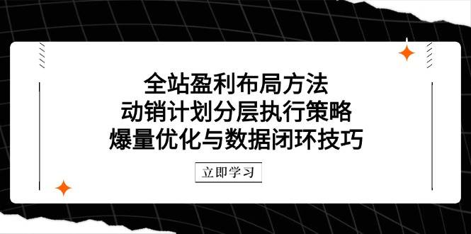 （14698期）全站盈利布局方法：动销计划分层执行策略，爆量优化与数据闭环技巧-致富学堂