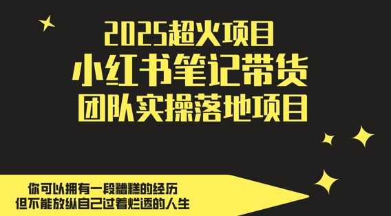 2025超火项目，副业最佳选择，小红书笔记带货团队实操落地项目，，轻松日入5张-致富学堂