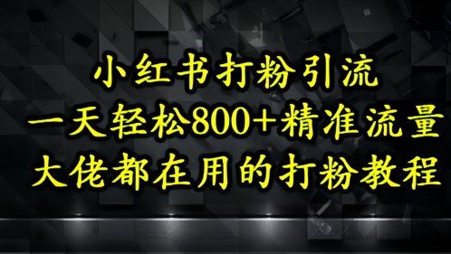 小红书打粉引流，一天轻松500+精准流量，大佬都在用的打粉教程-致富学堂