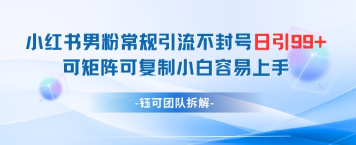小红书男粉常规引流不封号日引99+变现简单 可矩阵可复制小白容易上手-致富学堂