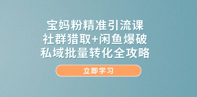 （14820期）宝妈粉精准引流课，社群猎取+闲鱼爆破，私域批量转化全攻略-致富学堂
