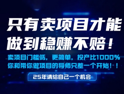 只有卖项目才能做到稳挣不赔，门槛低，更简单，你也可以年入百个W【揭秘】-致富学堂
