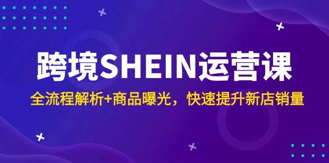 （14832期）跨境SHEIN运营课，全流程解析+商品曝光，快速提升新店销量-致富学堂