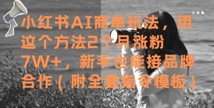 小红书AI商单玩法，用这个方法2个月涨粉7W+，新手也能接品牌合作(附全套指令模板)-致富学堂