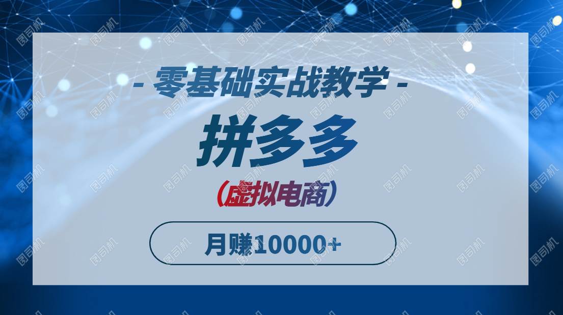 （14880期）拼多多虚拟电商，零基础实战教学，快速打爆商品，新手也能月入10000+-致富学堂