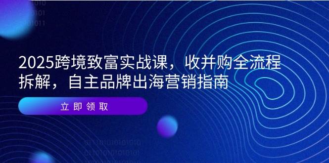 （14975期）2025跨境致富实战课，收并购全流程拆解，自主品牌出海营销指南-致富学堂