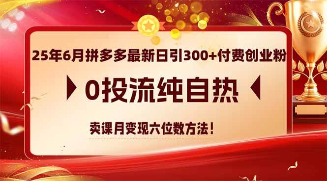 （14989期）25年6月拼多多最新日引300+付费创业粉，0投流纯自热 卖课月变现六位数方法-致富学堂