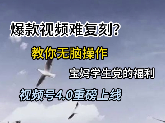视频号4.0重磅上线，爆款视频难复刻？教你无脑操作宝妈学生党的福利【揭秘】-致富学堂