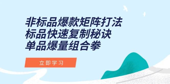 （15068期）非标品爆款矩阵打法，标品快速复制秘诀，单品爆量组合拳-致富学堂