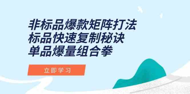 非标品爆款矩阵打法，标品快速复制秘诀，单品爆量组合拳-致富学堂