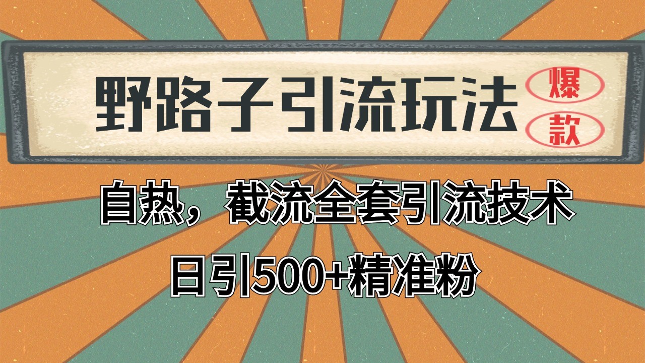 2024首发野路子引流玩法截流自热全平台打法，全自动引流【日引2000+精准客户】-致富学堂
