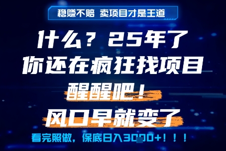 什么？25年你还在疯狂找项目做，醒醒吧，看完这些你全都懂了！【揭秘】-致富学堂