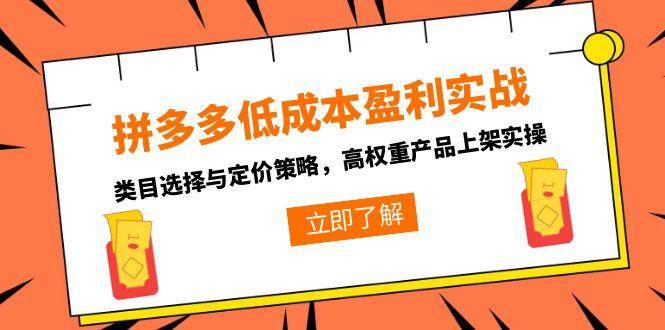 （15143期）拼多多低成本盈利实战，类目选择与定价策略，高权重产品上架实操-致富学堂