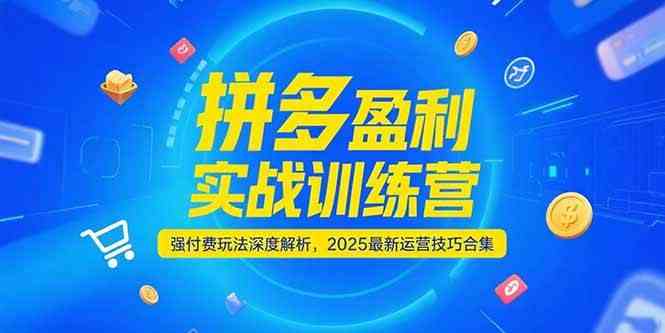 拼多多盈利实战训练营，强付费玩法深度解析，2025最新运营技巧合集-致富学堂