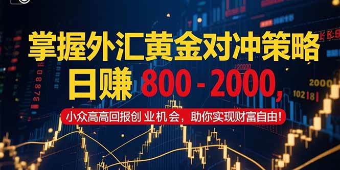 （15198期）掌握外汇黄金对冲策略，日赚 800 – 2000，小众高回报创业机会，助你实…-致富学堂