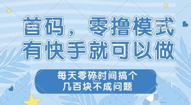 首码零撸项目，有快手就可以做，每天业务时间搞个几张不是问题【揭秘】-致富学堂