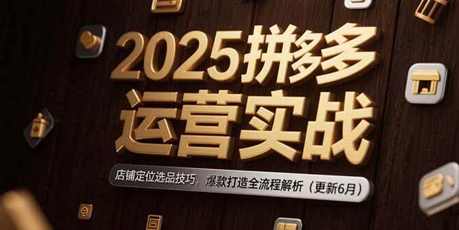 （15235期）2025拼多多运营实战：店铺定位选品技巧，爆款打造全流程解析（更新6月）-致富学堂