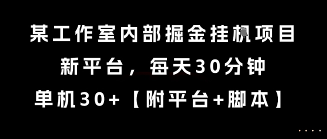 某工作室内部掘金挂G项目，新平台，每天30分钟，单机30+【揭秘】-致富学堂