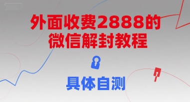 （15301期）外面收费2888的微信解封教程，具体自测-致富学堂