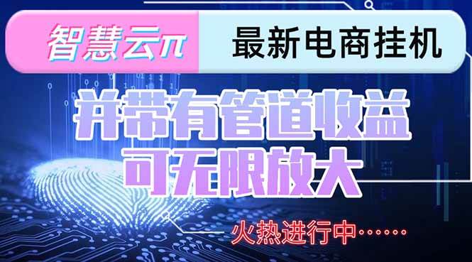 （15314期）智慧云π电脑挂机单机每天收益300—500+ 并带有团队管道收益 可无限放大-致富学堂