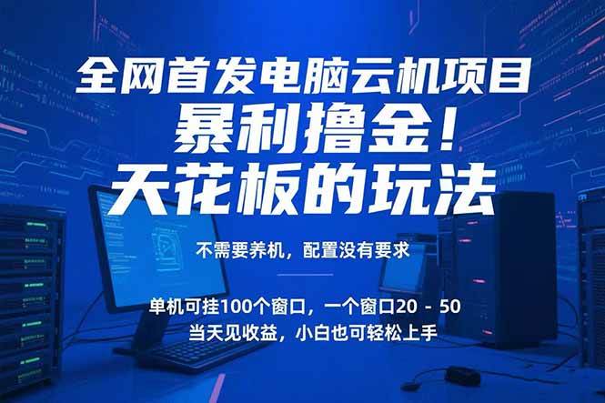（15323期）电脑云机项目 暴力撸金玩法，不需要养机 配置没有要求 单机100个窗口一…-致富学堂