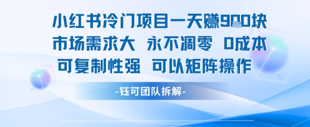 小红书冷门项目一天收益9张，市场需求大，0成本，可复制性强可以矩阵操作-致富学堂