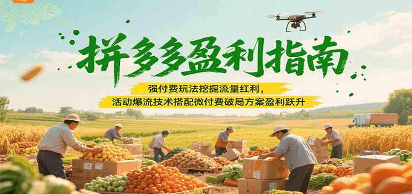 拼多多盈利指南：强付费玩法挖掘流量红利，活动爆流技术搭配微付费方案实现盈利跃升-致富学堂