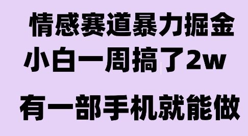 情感暴力掘金项目，新人操作一周挣了2W，长期稳定小白可做【揭秘】-致富学堂