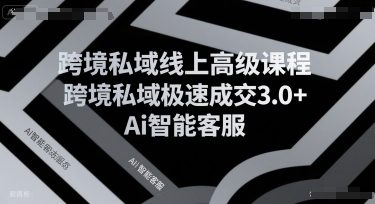 跨境私域线上高级课程，跨境私域极速成交3.0+Ai智能客服-致富学堂