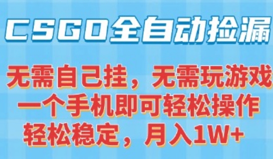 CSGO自动捡漏项目，最新独家玩法，一个手机可操作，新手小白轻松月入1W+，操作简单易上手【揭秘】-致富学堂