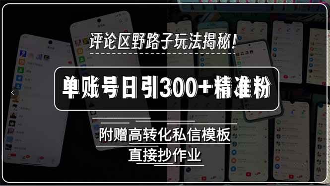 （15466期）评论区野路子玩法揭秘！单账号日引300+精准粉，附赠高转化私信模板，直…-致富学堂