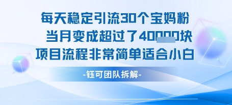 每天稳定引流30个人 当月变成超过了4个W项目流程非常简单适合小白-致富学堂
