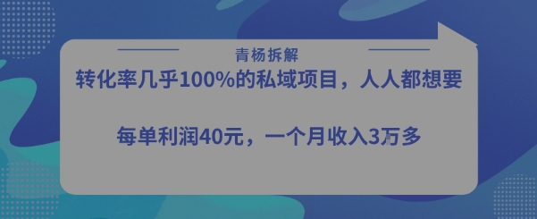 转化率最高的私域项目，每单利润40-50米，月入过1w-致富学堂
