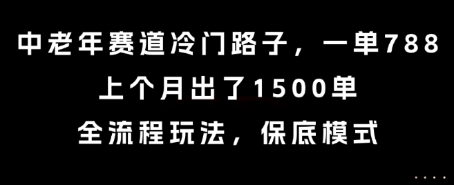 中老年赛道冷门路子，一单788，上个月出了1500单，全流程玩法，保底模式【揭秘】-致富学堂