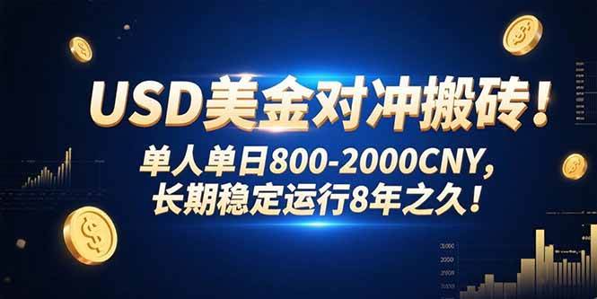 （15551期）USD美金对冲搬砖!单人单日800-2000CNY，长期稳定运行8年之久!-致富学堂