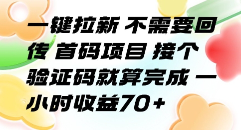 一键拉新 不需要回传 首码项目 接个验证码就算完成 一小时收益70+【揭秘】-致富学堂
