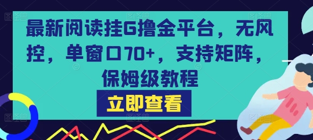 最新阅读挂G撸金平台，无风控，单窗口70+，支持矩阵，保姆级教程【揭秘】-致富学堂