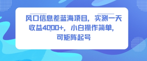 风口信息差蓝海项目，实测一天收益4k+，小白操作简单，可矩阵起号-致富学堂